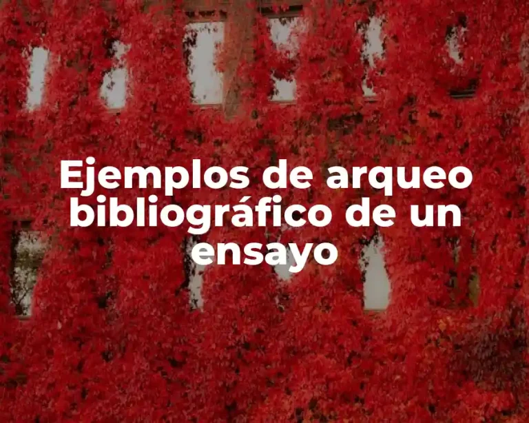 Ejemplos de arqueo bibliográfico de un ensayo