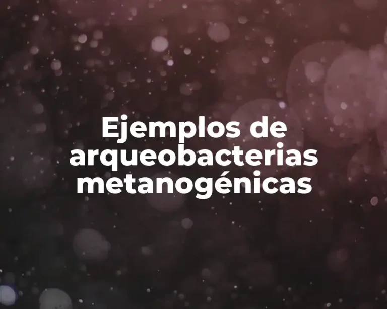Ejemplos de arqueobacterias metanogénicas