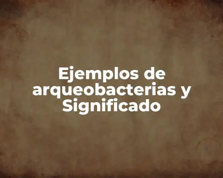 Ejemplos de arqueobacterias y Significado