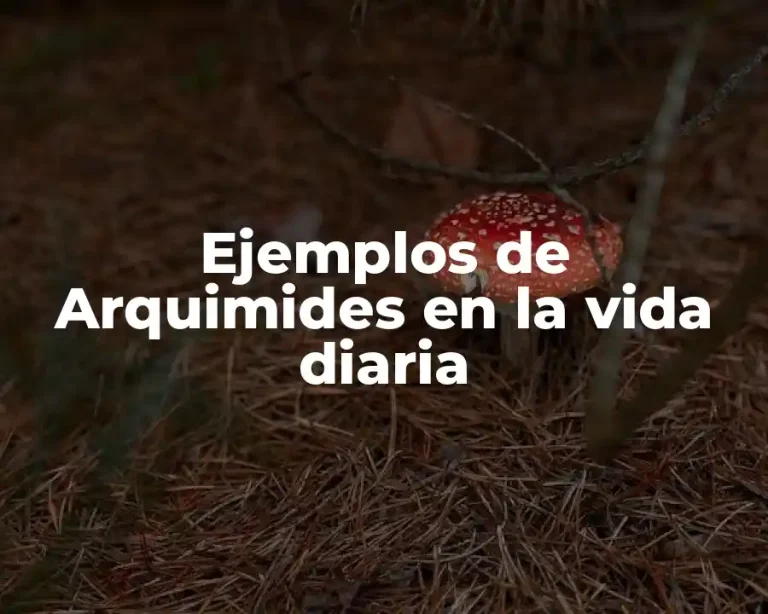 Ejemplos de Arquimides en la vida diaria