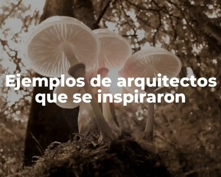 Ejemplos de arquitectos que se inspiraron