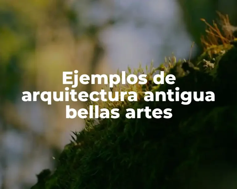 Ejemplos de arquitectura antigua bellas artes