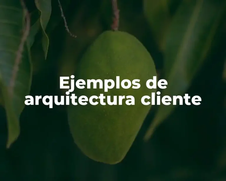 Ejemplos de arquitectura cliente