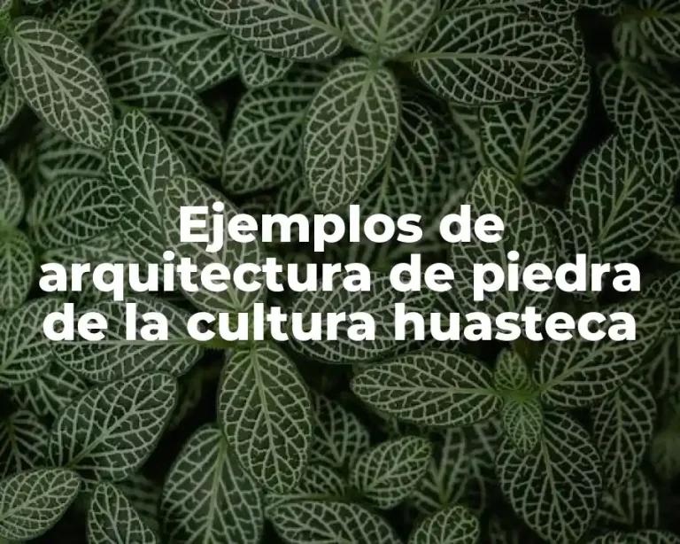 Ejemplos de arquitectura de piedra de la cultura huasteca