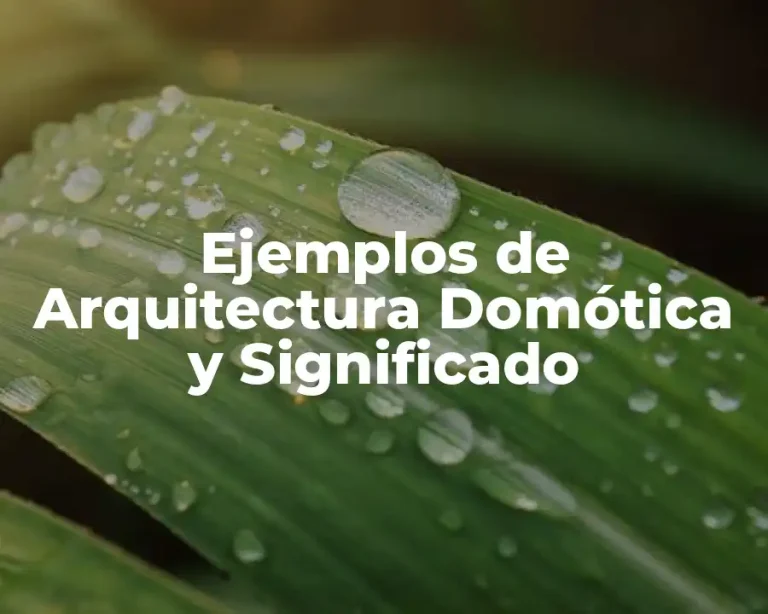 Ejemplos de Arquitectura Domótica y Significado