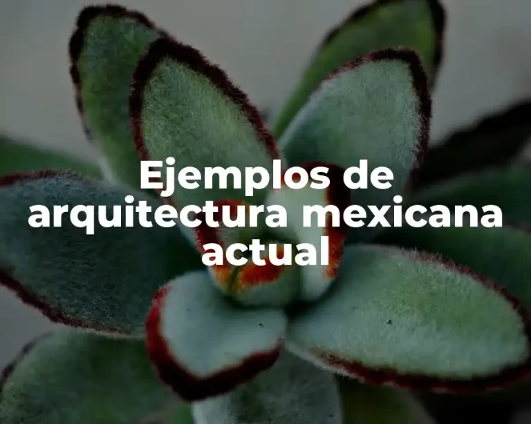 Ejemplos de arquitectura mexicana actual