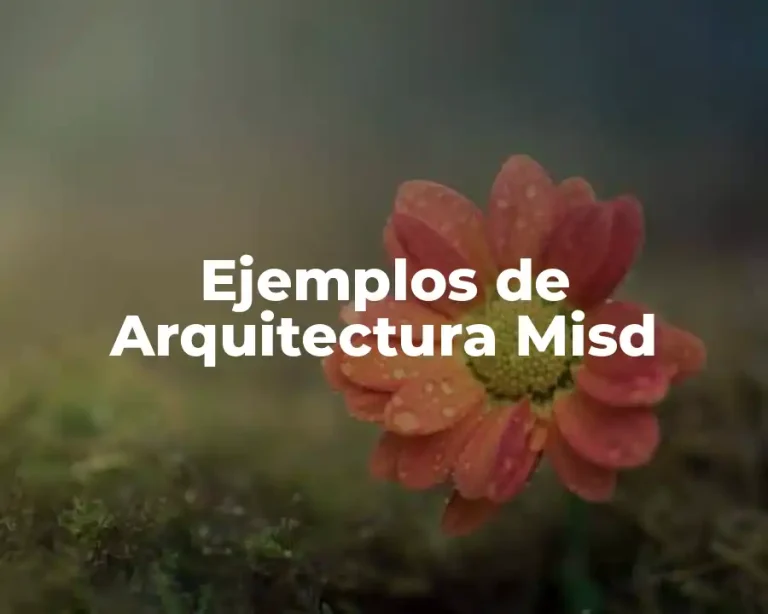 Ejemplos de Arquitectura Misd