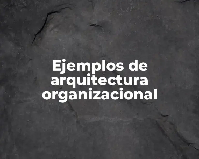 Ejemplos de arquitectura organizacional