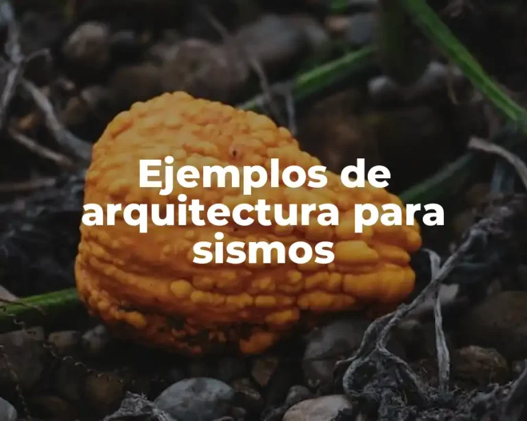 Ejemplos de arquitectura para sismos