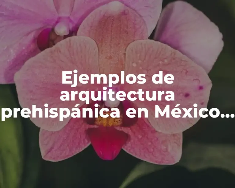 Ejemplos de arquitectura prehispánica en México Scielo