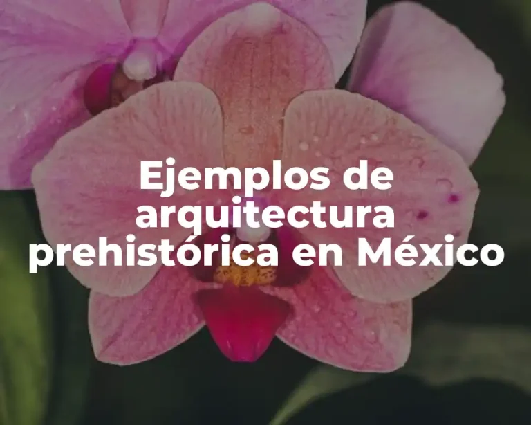Ejemplos de arquitectura prehistórica en México