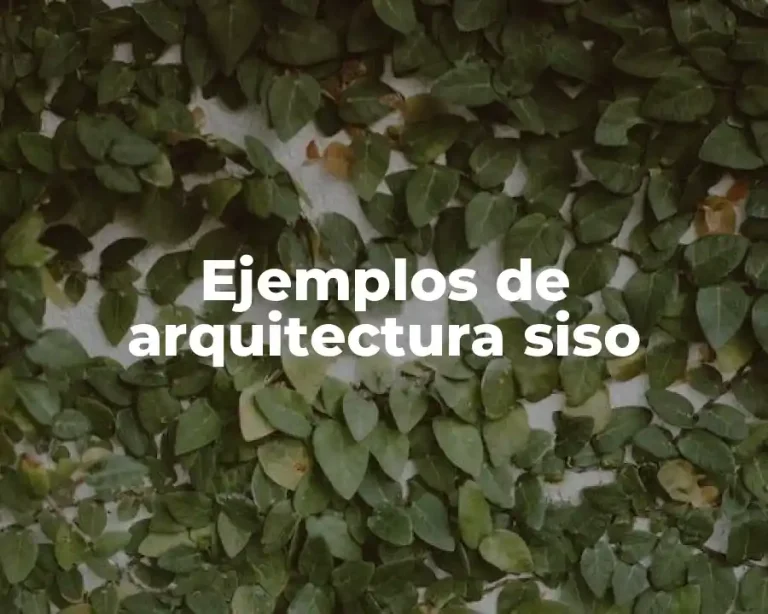 Ejemplos de arquitectura siso