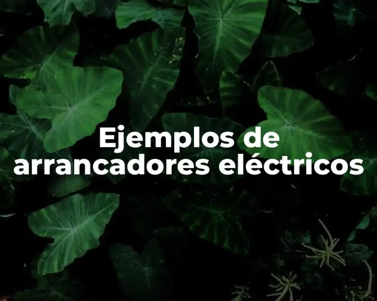 Ejemplos de arrancadores eléctricos