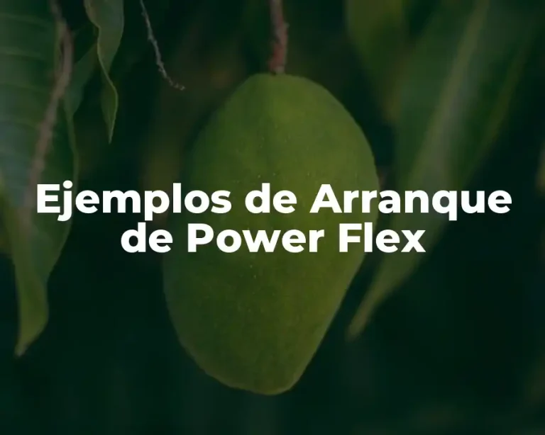 Ejemplos de Arranque de Power Flex