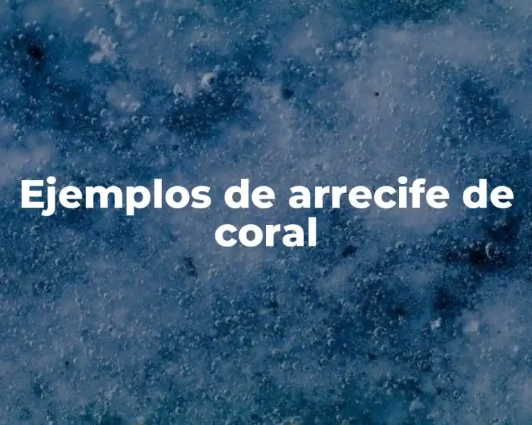 Ejemplos de arrecife de coral