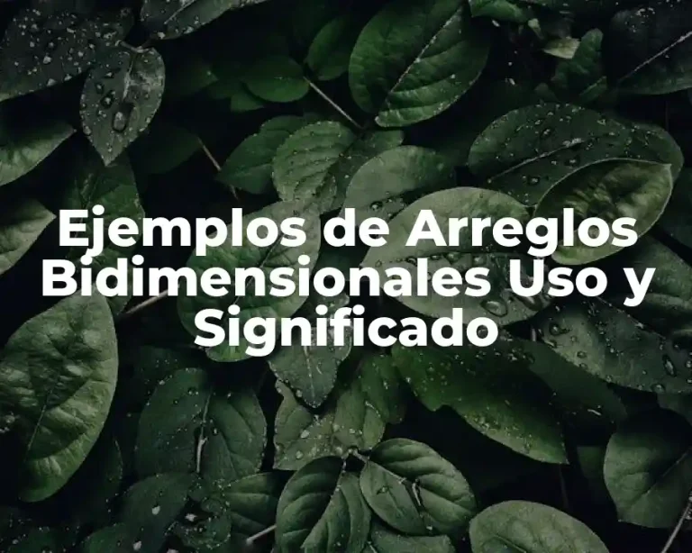 Ejemplos de Arreglos Bidimensionales Uso y Significado