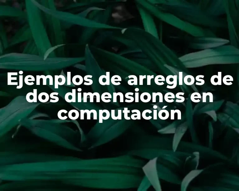 Ejemplos de arreglos de dos dimensiones en computación
