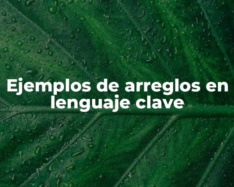 Ejemplos de arreglos en lenguaje clave