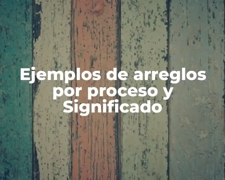 Ejemplos de arreglos por proceso y Significado