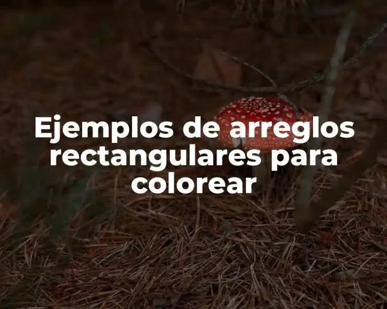 Ejemplos de arreglos rectangulares para colorear