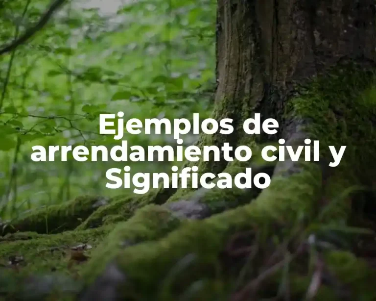 Ejemplos de arrendamiento civil y Significado