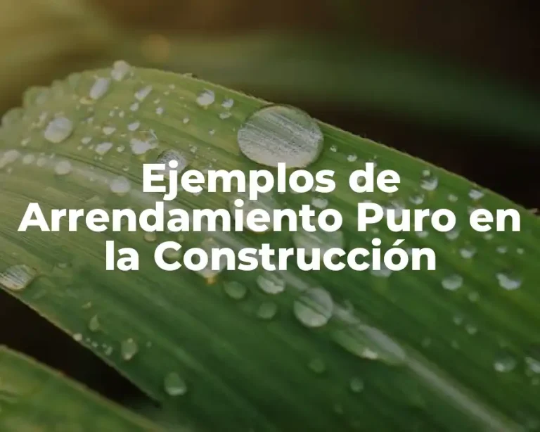 Ejemplos de Arrendamiento Puro en la Construcción