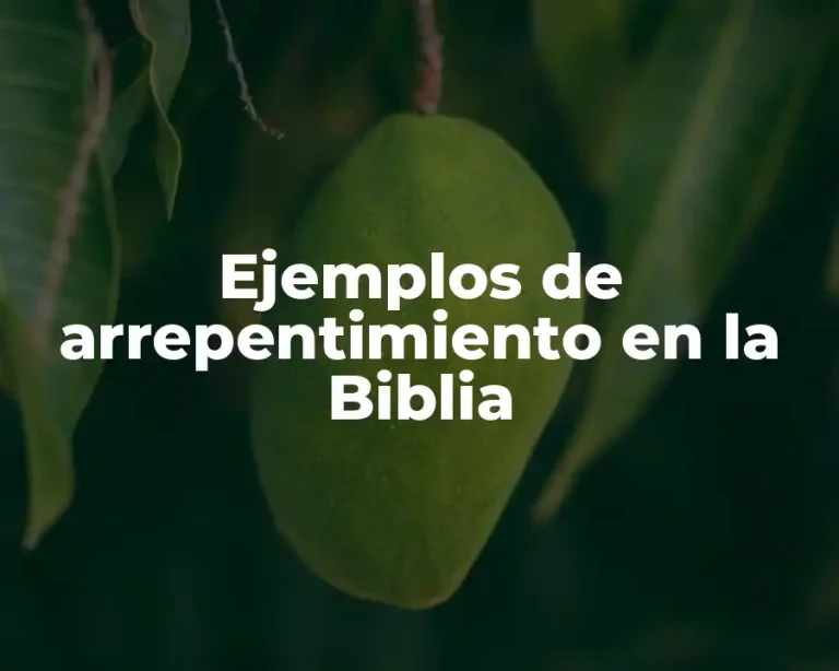 Ejemplos de arrepentimiento en la Biblia