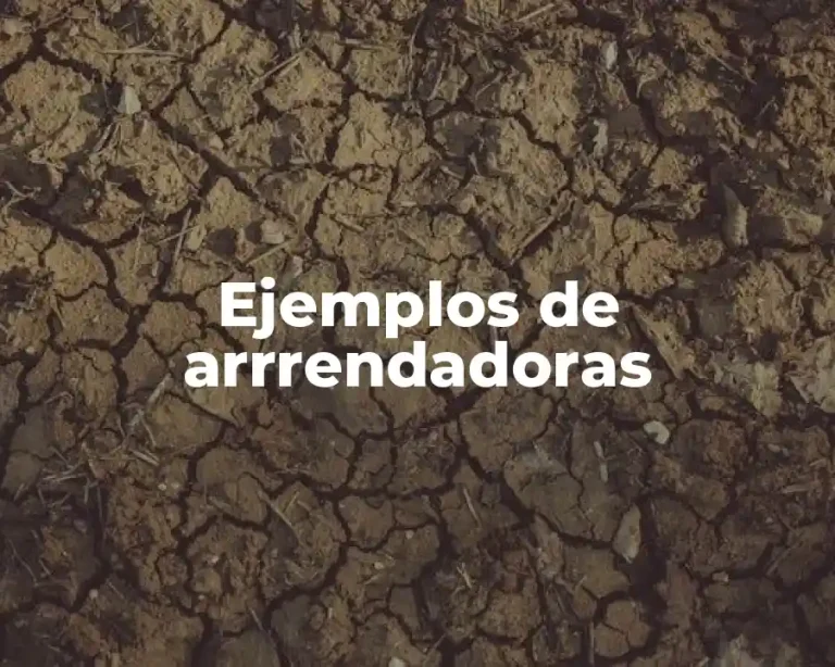 Ejemplos de arrrendadoras
