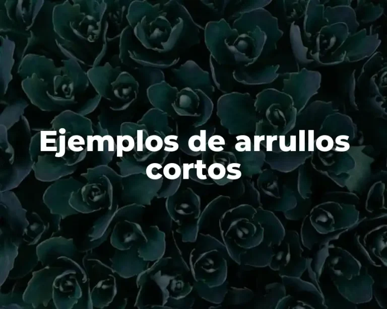 Ejemplos de arrullos cortos