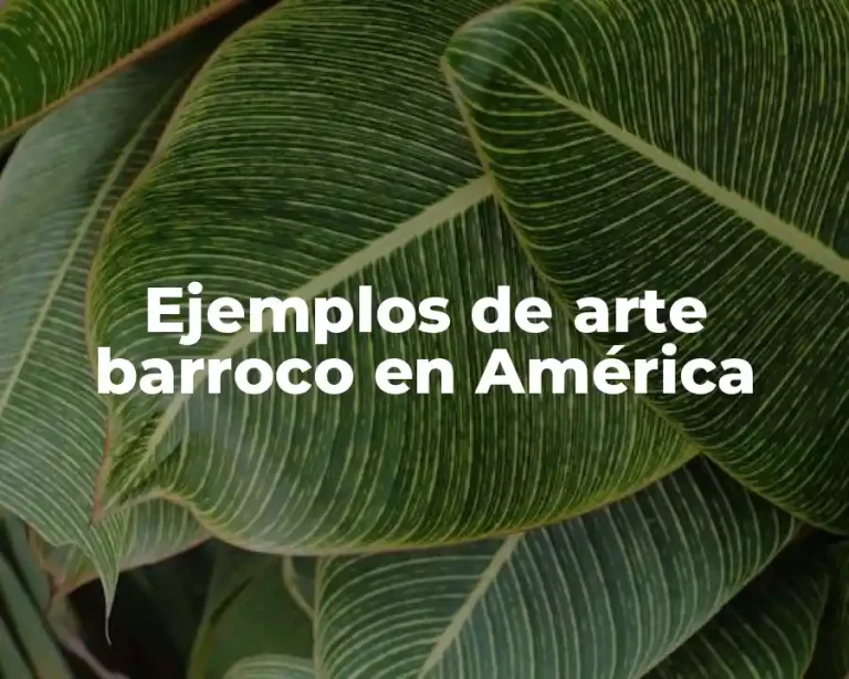 Ejemplos de arte barroco en América
