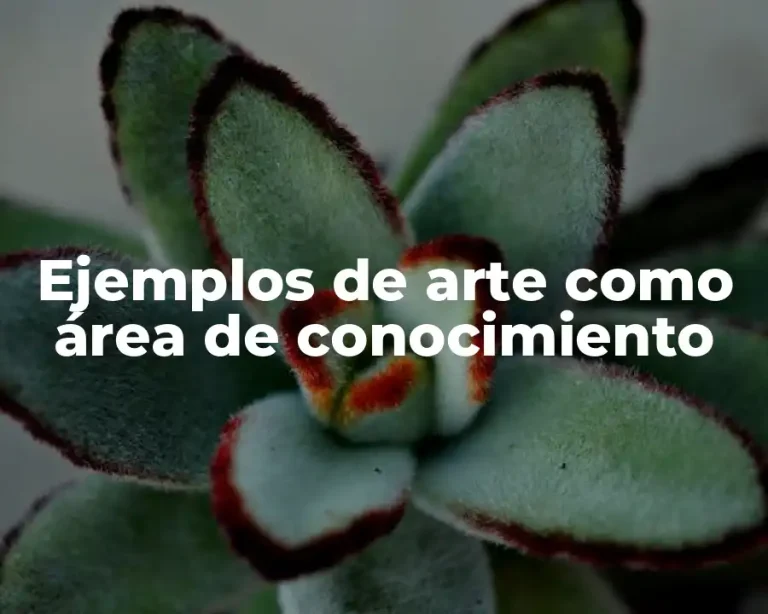 Ejemplos de arte como área de conocimiento