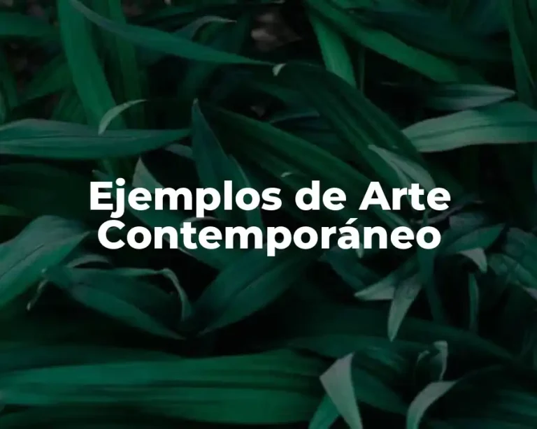 Ejemplos de Arte Contemporáneo