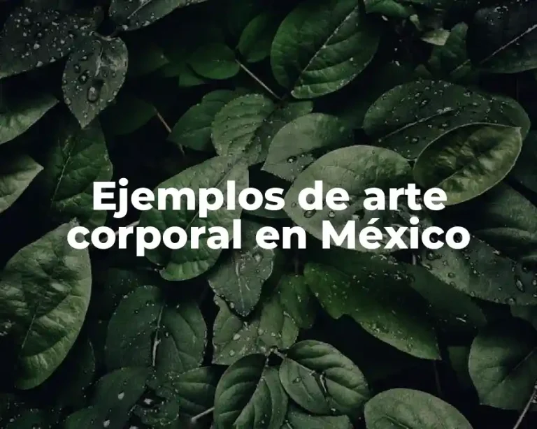 Ejemplos de arte corporal en México