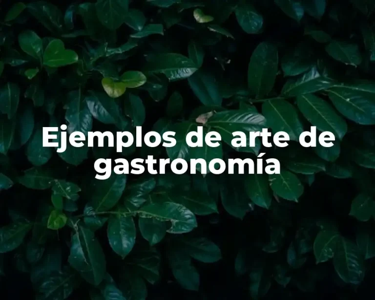 Ejemplos de arte de gastronomía