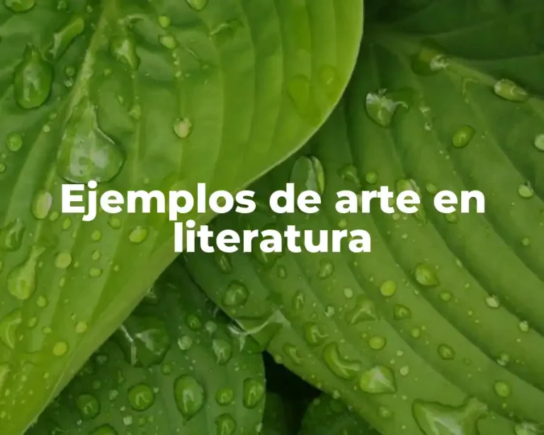 Ejemplos de arte en literatura