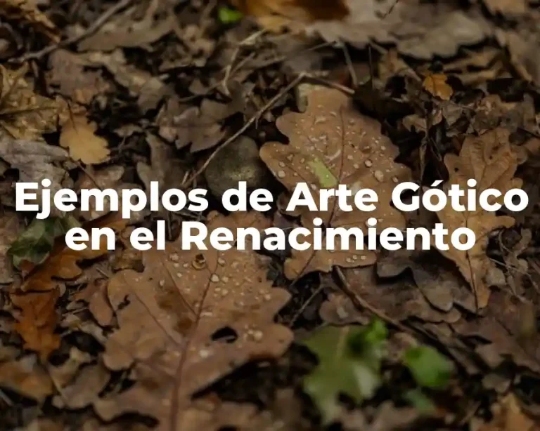 Ejemplos de Arte Gótico en el Renacimiento