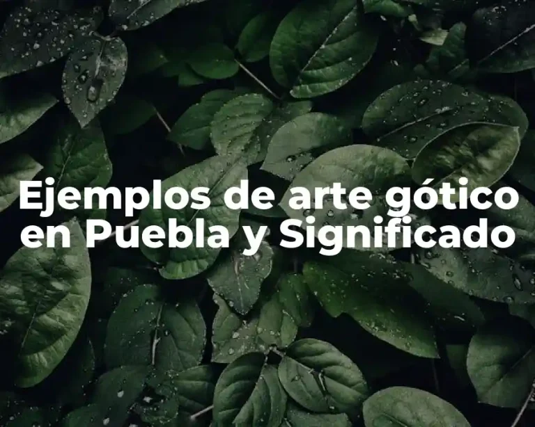 Ejemplos de arte gótico en Puebla y Significado