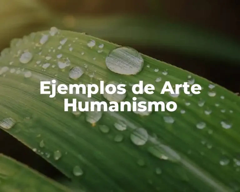 Ejemplos de Arte Humanismo
