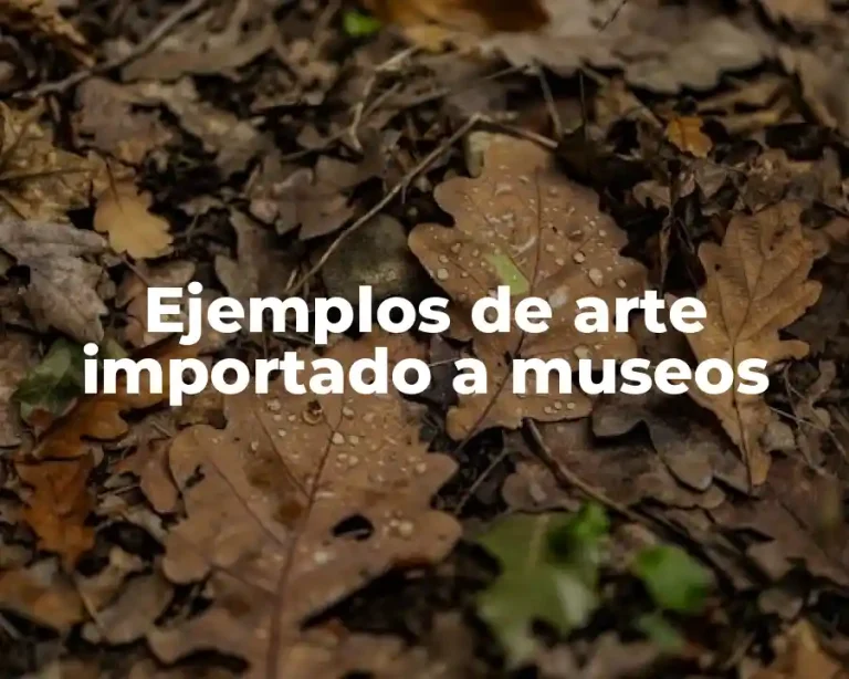 Ejemplos de arte importado a museos
