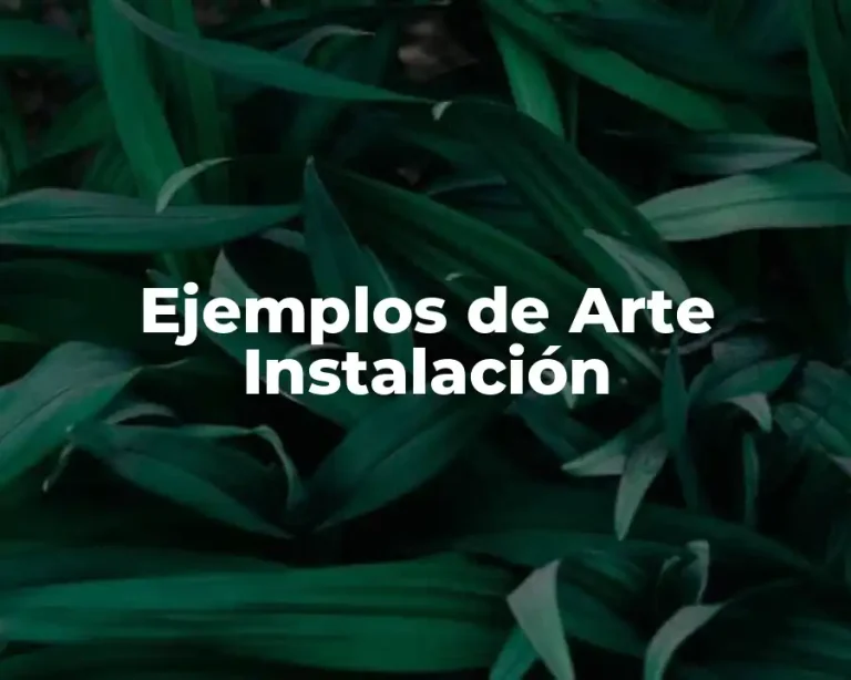 Ejemplos de Arte Instalación