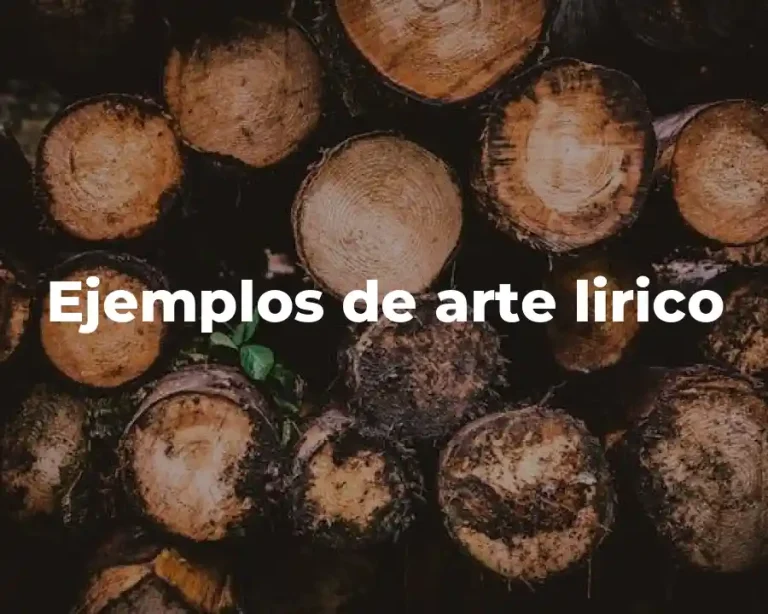 Ejemplos de arte lirico