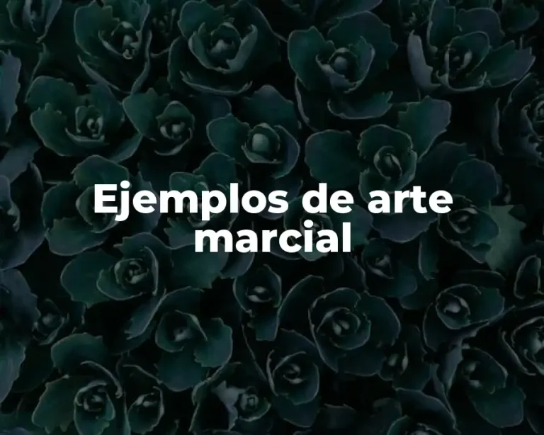 Ejemplos de arte marcial
