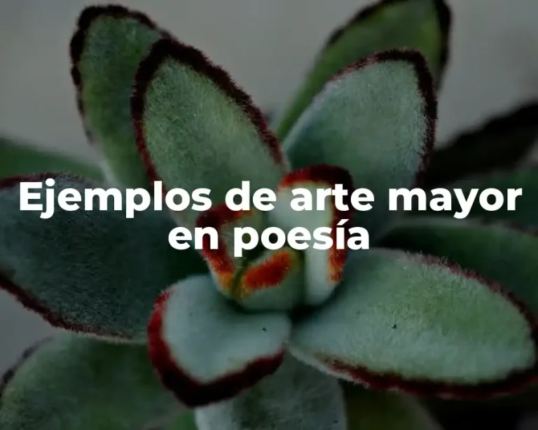 Ejemplos de arte mayor en poesía
