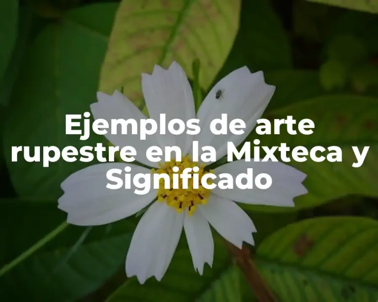Ejemplos de arte rupestre en la Mixteca y Significado