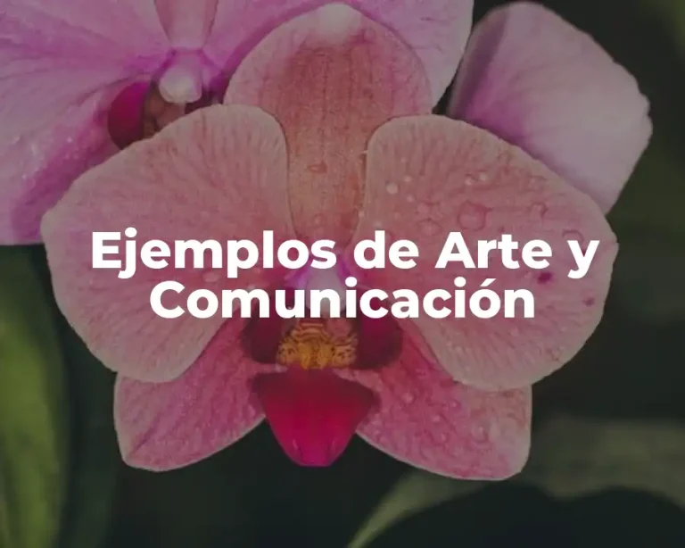 Ejemplos de Arte y Comunicación