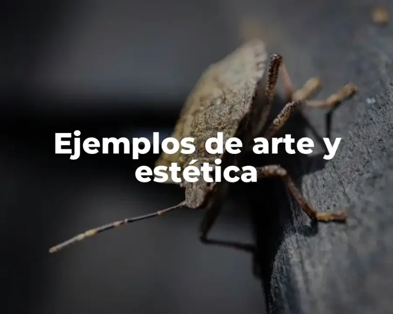 Ejemplos de arte y estética