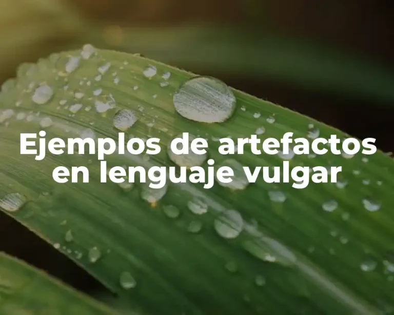 Ejemplos de artefactos en lenguaje vulgar