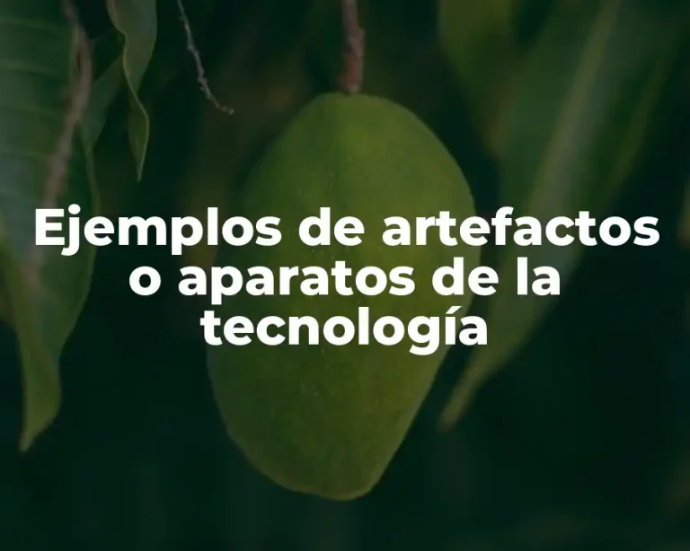 Ejemplos de artefactos o aparatos de la tecnología