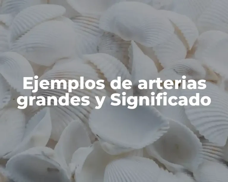 Ejemplos de arterias grandes y Significado