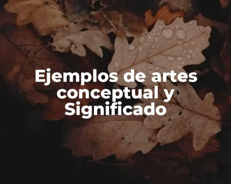 Ejemplos de artes conceptual y Significado